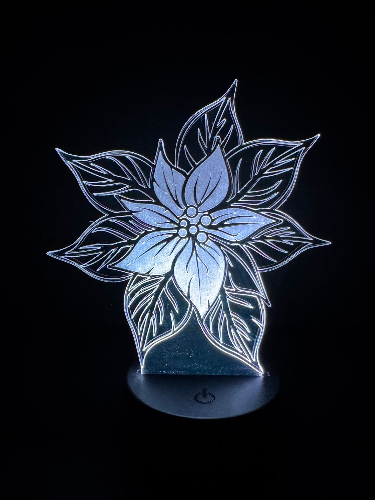 Poinsettia (Display)