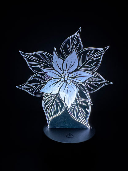 Poinsettia (Display)